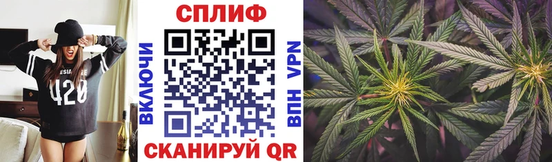 Купить где  Нерюнгри  Бошки марихуана конопля 